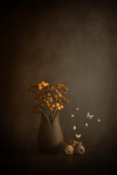  - Cicek Kiral