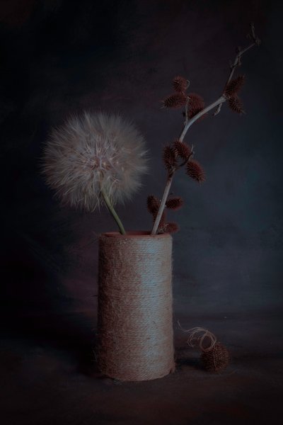  - Cicek Kiral