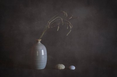  - Cicek Kiral