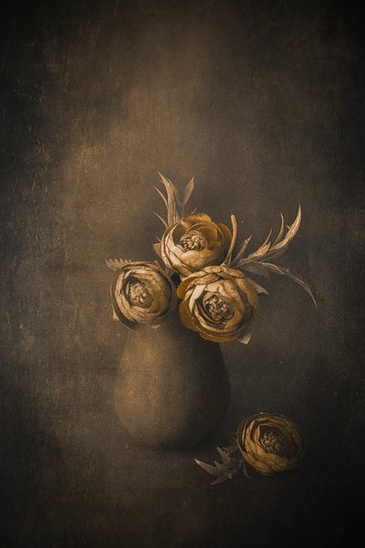 - Cicek Kiral