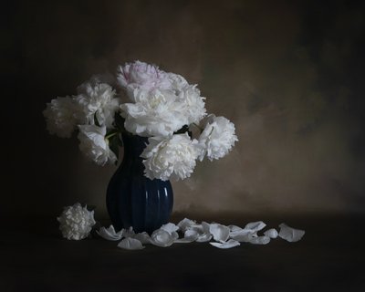  - Cicy Chen