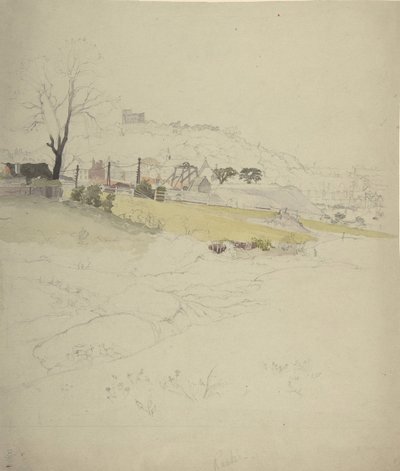 Vue d