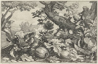 Paysage avec citrouilles et choux - Claes Jansz. Visscher (II)