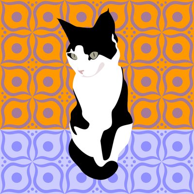 Chat sur des carreaux marocains - Claire Huntley