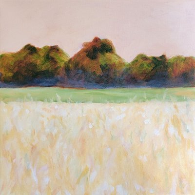  - Claire Whitehead