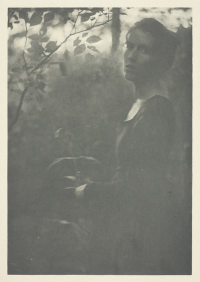 Bord de la forêt - Clarence H. White