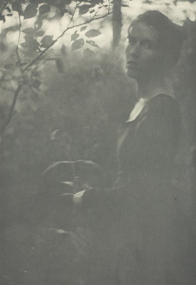 Bord de la forêt - Clarence H White
