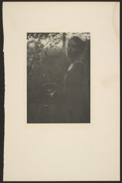 [La lisière des bois -- Soirée] - Clarence H. White