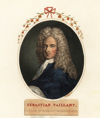 Portrait de Sébastien Vaillant, botaniste français - Claude Aubriet