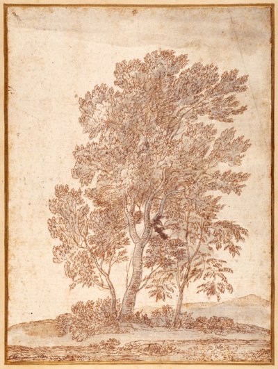Trois arbres - Claude Lorrain
