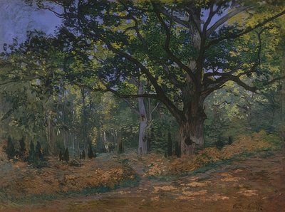 Chêne de Bodmer dans la forêt de Fontainebleau. 1865 - Claude Monet