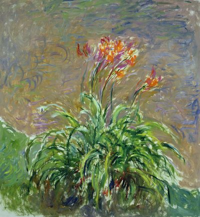 Hémérocalle - Claude Monet