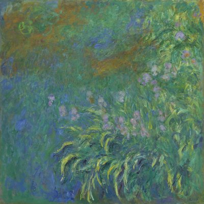 Iris - Claude Monet