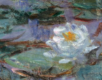 Nymphéas bleus (détail) - Claude Monet