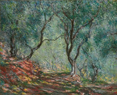 Oliviers dans le jardin Moreno, 1884 - Claude Monet