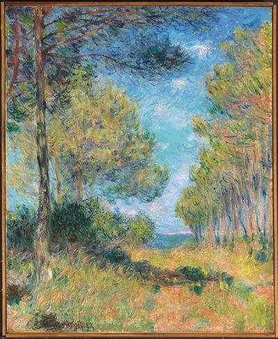 Allée de sapins à Varengeville, 1882 - Claude Monet