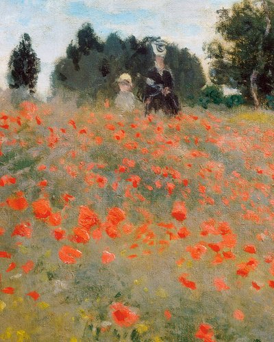 Coquelicots, environs d