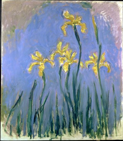Les Iris jaunes, vers 1918-25 - Claude Monet