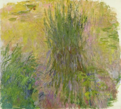 Nénuphars - Claude Monet