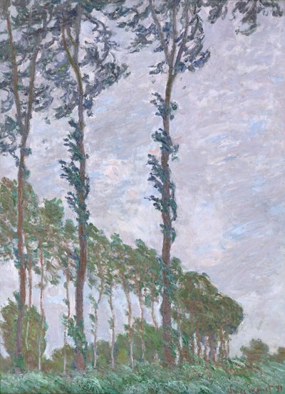 Effet de vent, série des Peupliers - Claude Monet