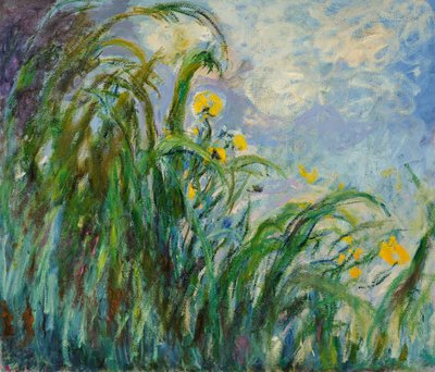 Iris jaunes, vers 1925 - Claude Monet