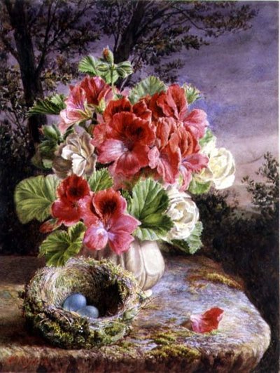 Gloxinia et nid d
