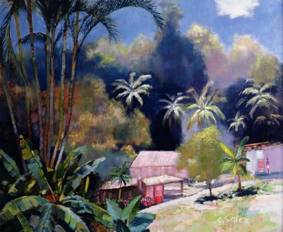 Forêt tropicale, Martinique - Claude Salez
