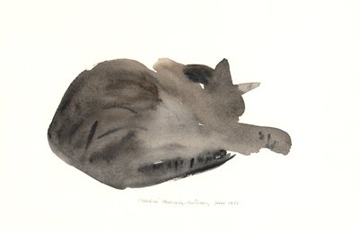 Chat endormi, 1985 - Claudia Hutchins Puechavy