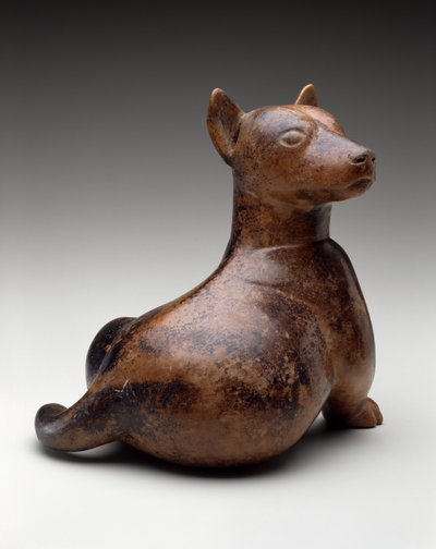 Chien à demi-assis - Colima Culture