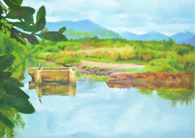 Reflets - Colin Bootman