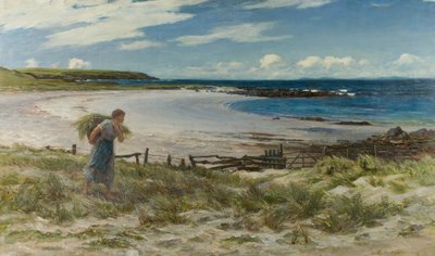 Les sables de White Hills - Colin Hunter
