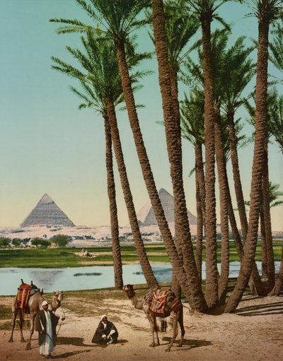 Palmiers, Bédouins et Pyramides, Le Caire, Égypte - Company Photoglob