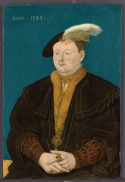 Portrait de Friedrich Magnus I von Solms-Laubach, 1543 - Conrad Faber