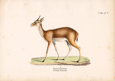 Profil de l
