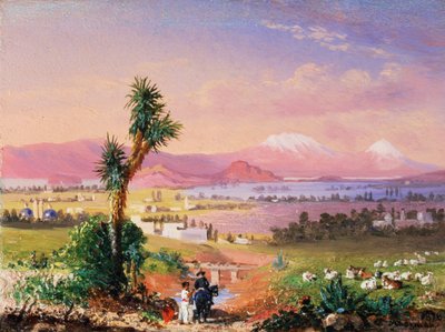 Vue de Mexico - Conrad Wise Chapman
