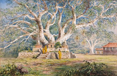 Arbre sacré Bo au lieu de sépulture des reines de Kandy - Constance Frederica Gordon Cumming