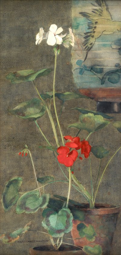 Géraniums et lanterne japonaise - Constance Walton