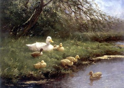 Une famille de canards près d