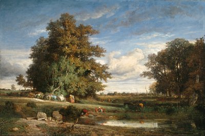 Le marais - Constant Troyon