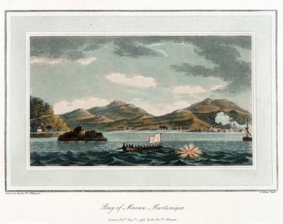 Baie de Maran, en Martinique - Cooper (after) Willyams