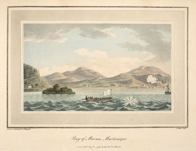 Baie de Maran, Martinique, illustration de 