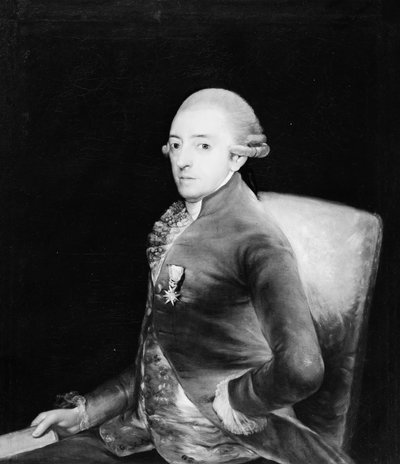 Don Bernardo de Iriarte 1735-1814 - Copy after Goya