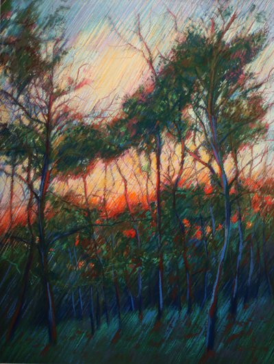 Lueur du coucher de soleil dans la forêt - Corné Akkers