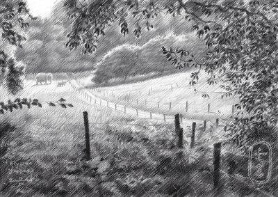 Sentier paisible à la campagne - Corné Akkers