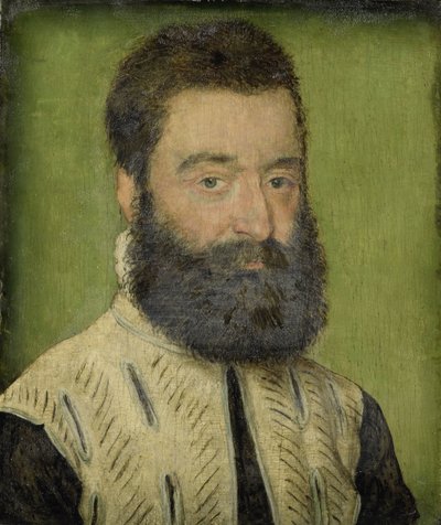 Portrait de Barthélemy Aneau, directeur du Collège de la Trinité à Lyon - Corneille de la Haye named