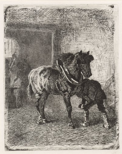 Cheval ferré dans une forge - Cornelis Albertus Johannes Schermer