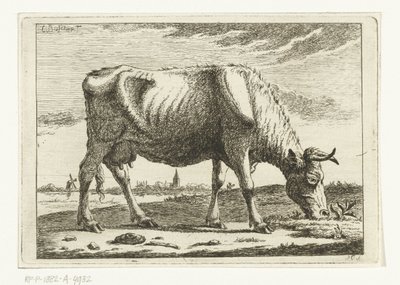 Paysage avec vache paissant (Vaches) - Cornelis  Bisschop