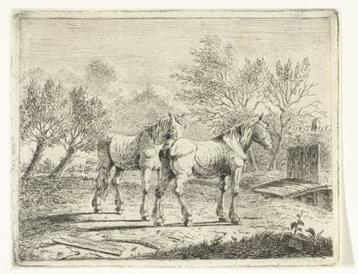 Paysage de prairie avec deux chevaux près d