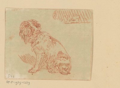 Chien assis - Cornelis Brouwer (possibly)