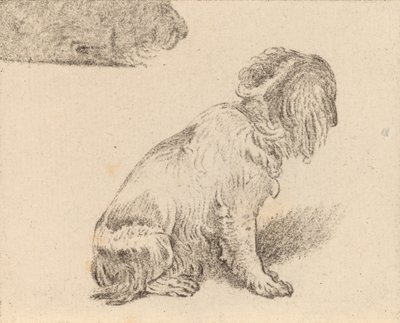 Chien assis - Cornelis Brouwer